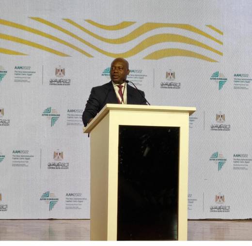 OIL TYCOON, WALE TINUBU WOWS AT AFREXIMBANK 2022