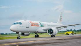 Passenger assaults crew member, fight ground staff