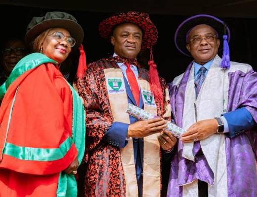 UBA GMD/CEO, Oliver Alawuba, Conferred with Doctorate Degree by Imo State University