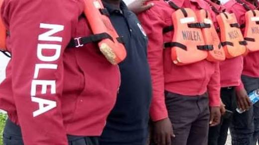NDLEA Arrests WASIU AYINDE with over 5000 capsules of Illegal drugs at Lagos Airport