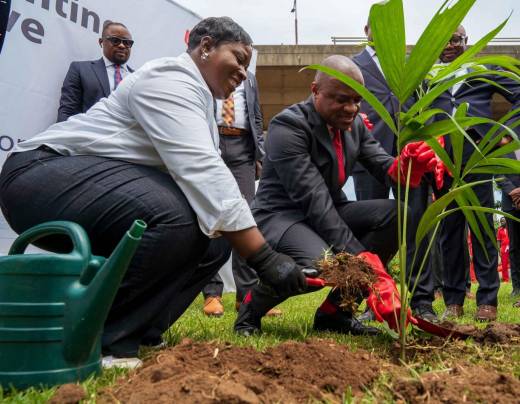 UBA Foundation Walks the Talk on Sustainability, Pioneers Commitment to Environment, Africa’s Green Revolution